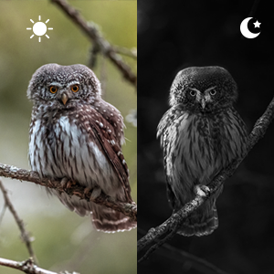 Alcances de la visión nocturna